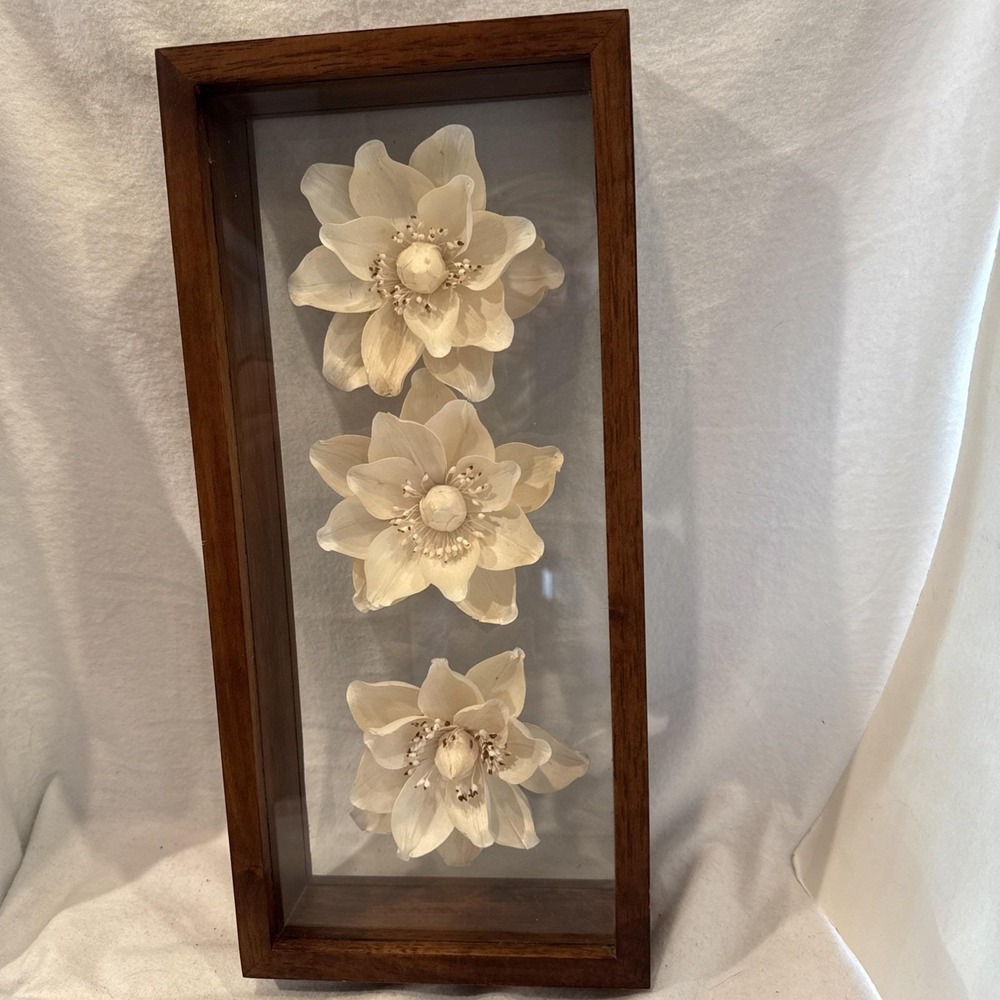 Shadowbox Flower Magnolia‎ Wall Art 16.5 X 7.5 X 2.75" Wall Art